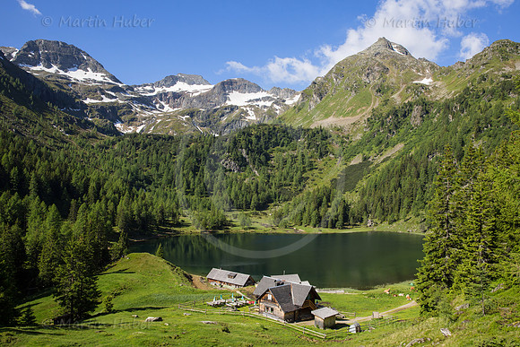 Almsommer am Duisitzkarsee