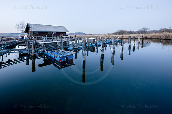 THEMENBILD, Winterruhe am Wallersee