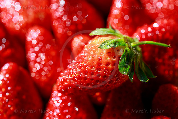 Food-Fotografie, Erdbeeren