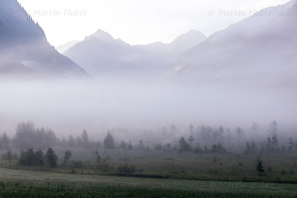 Tettermoor im Morgennebel