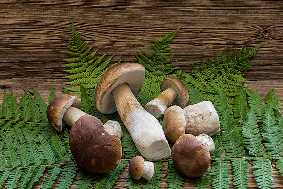 Food-Fotografie, Steinpilze und Herrenpilze
