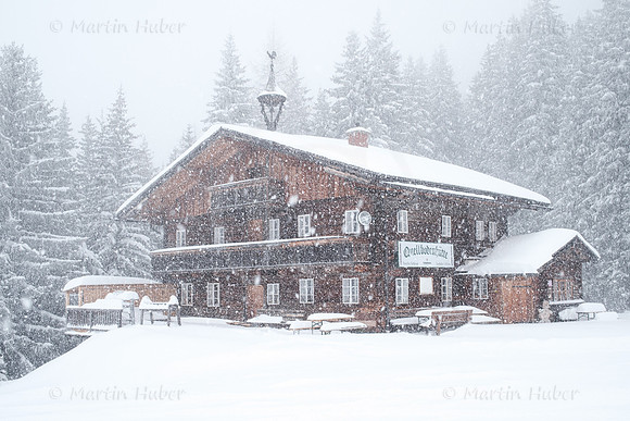 THEMENBILD, Winter und Schneefall in Österreich