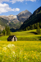 THEMENBILD, Frühling in den Bergen, Alm