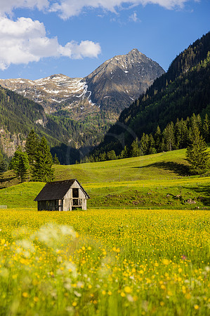 THEMENBILD, Frühling in den Bergen, Alm