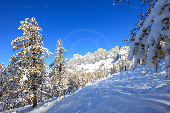 THEMENBILD, Wetter, Neuschnee im November