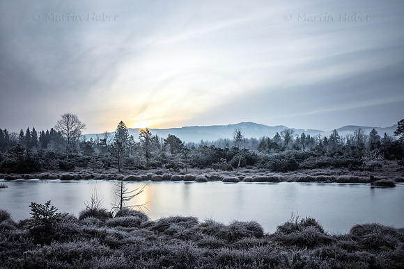 Wintermorgen im Wenger Moor