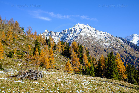 Spätherbst und Lärchengold, hinteres Weißpriachtal