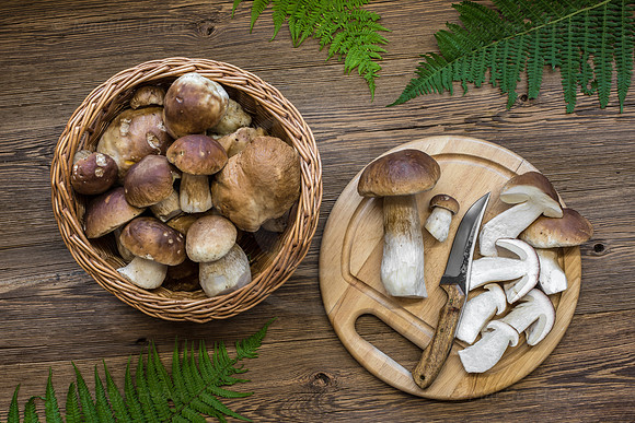 Food-Fotografie, Steinpilze und Herrenpilze