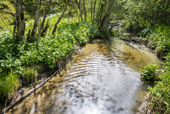 Ramsaubach, Hofrat-Gruber-Weg