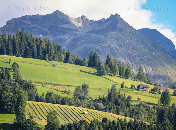 Bergbauer bei der Heuarbeit - Goessenberg